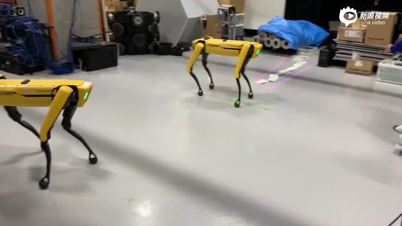 波士顿动力大黄狗机器人训练日常