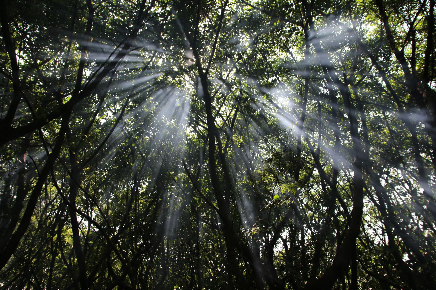 拍下丁达尔现象的照片(耶稣光)要注意什么?