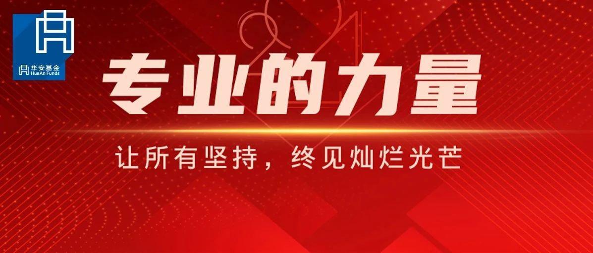 专业的力量 | 让所有坚持,终见灿烂光芒