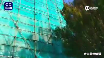 探秘上海“红楼”
