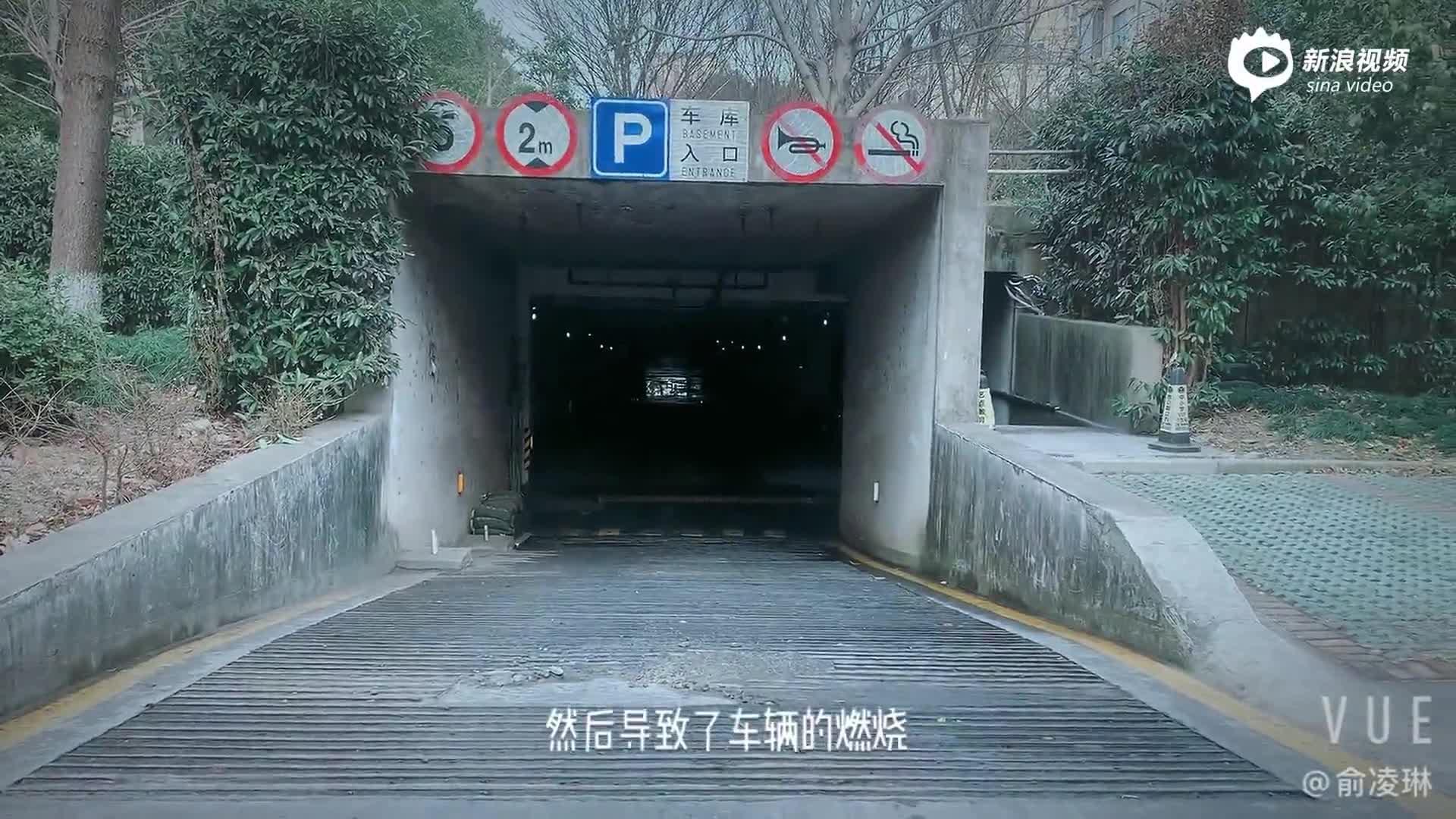 无论是消费者还是有关部门 对特斯拉都太纵容了
