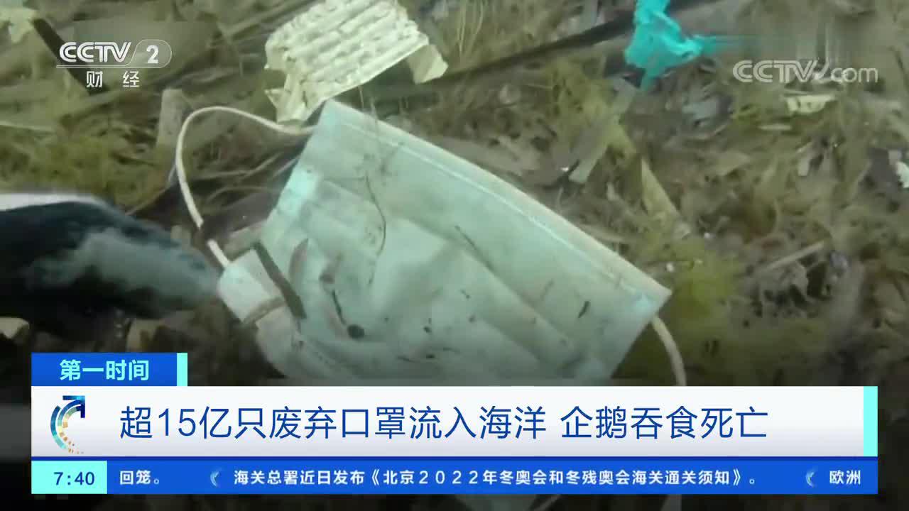 去年超15亿只废弃口罩流入海洋 企鹅胃里发现完整N95口罩