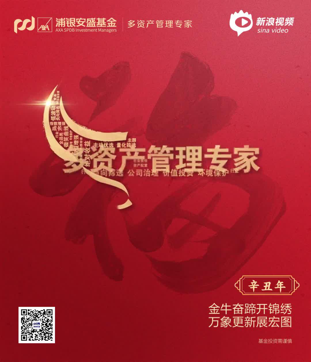 浦银安盛基金新春视频