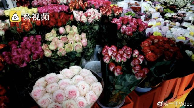 春节假期遇上情人节：云南昆明斗南花卉市场日销千万支玫瑰