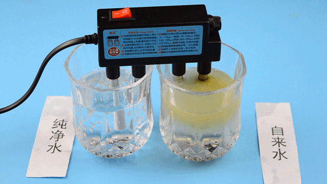 春節太油膩,甜羹開胃湯、史密斯淨水器來幫忙_新浪眾測