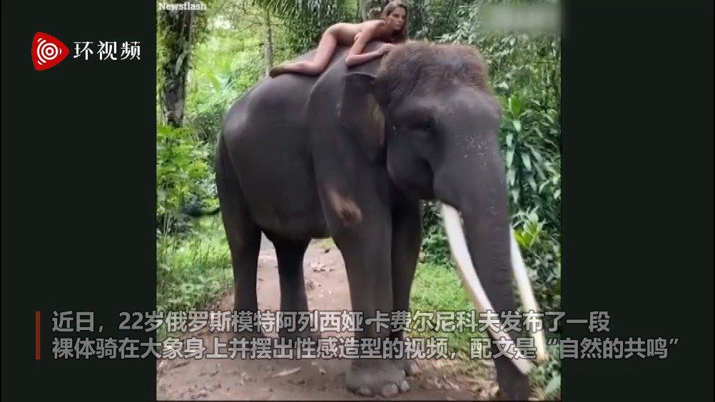 22岁俄罗斯女模特 裸体骑濒危大象
