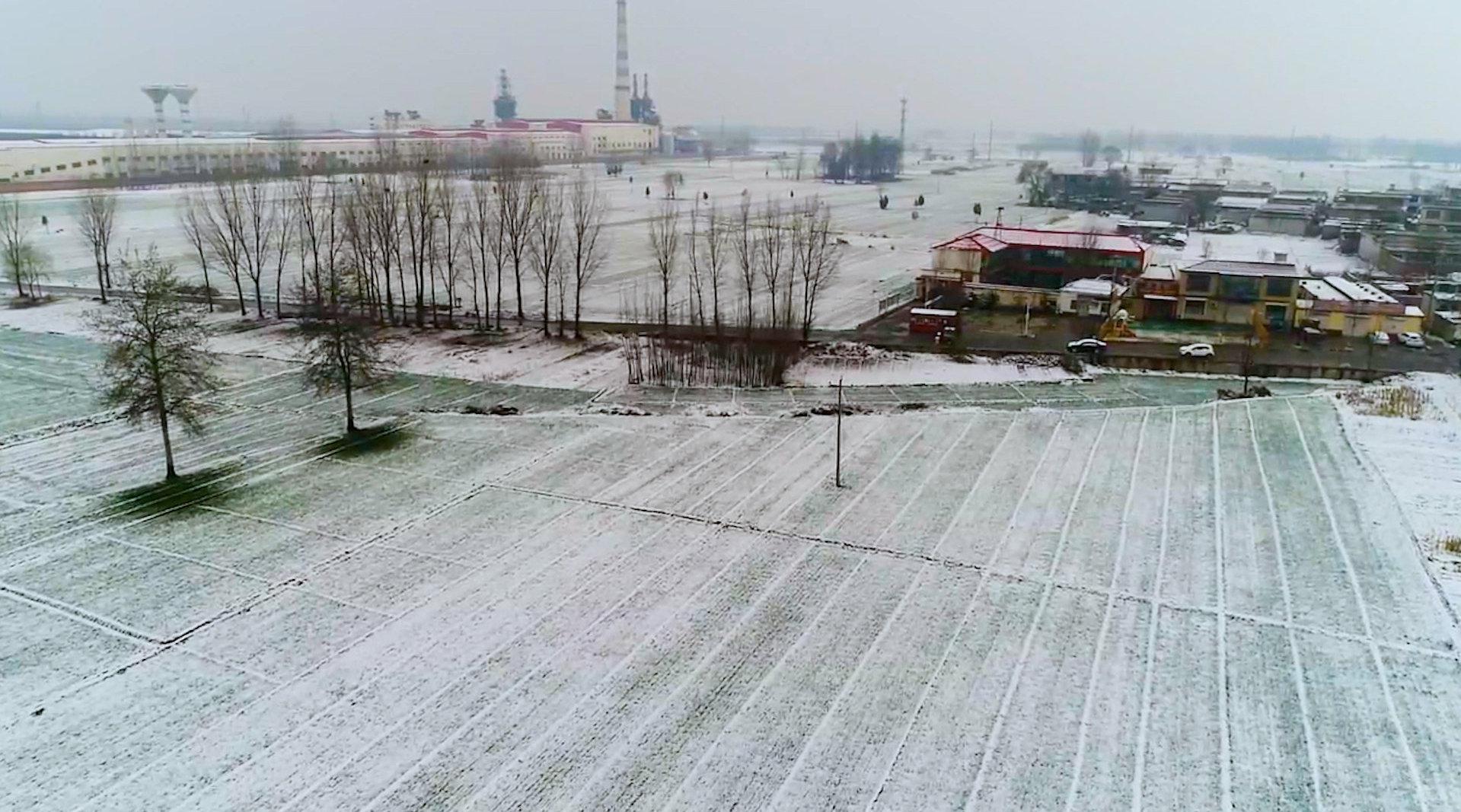 河北沙河大雪麦田被白雪覆盖 市民:瑞雪兆丰年_手机新浪网