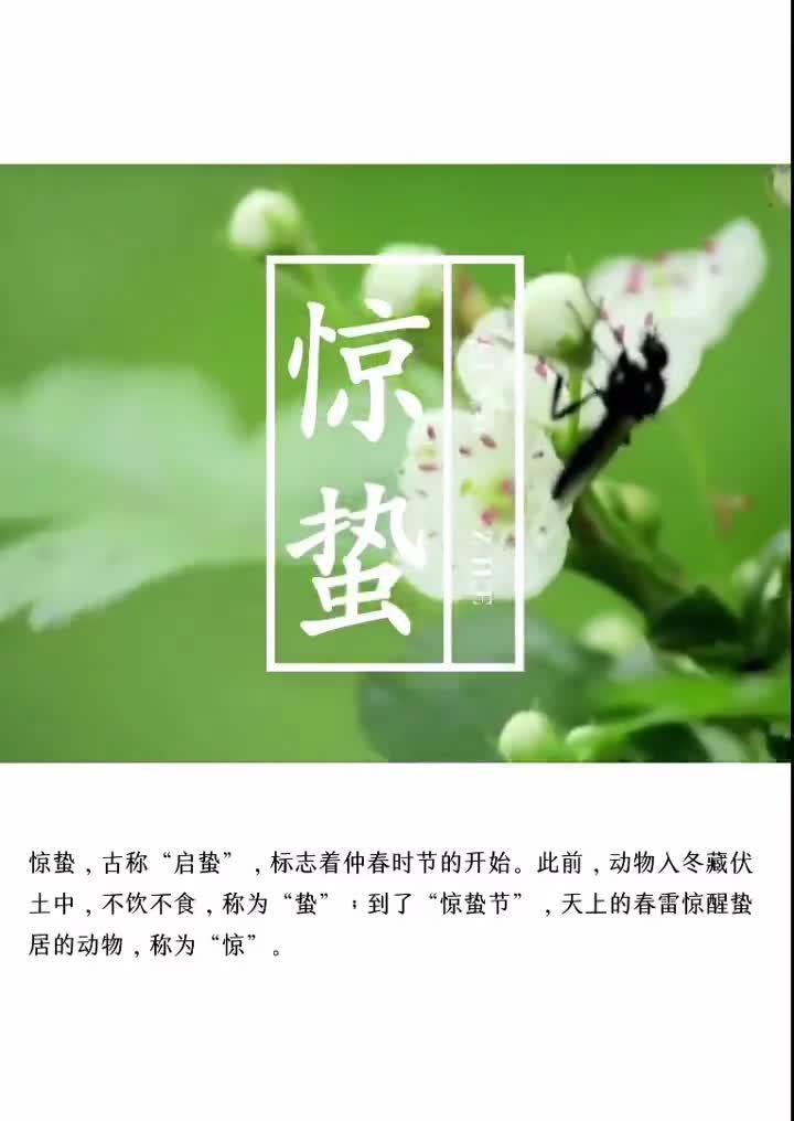 二十四节气——"惊蛰"的由来
