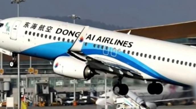 民航局通报东海航空处理结果：暂停新增航线 机长执照被撤