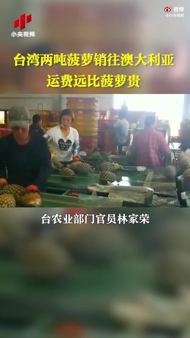 广东徐闻菠萝的海日交易量最高达3500吨