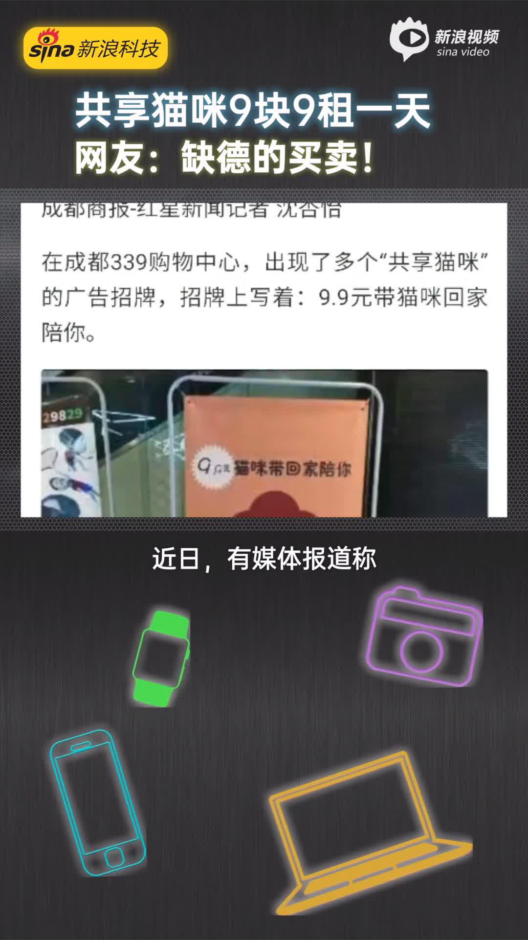 成都339购物中心“共享猫咪9块9租一天” 网友：缺德的买卖