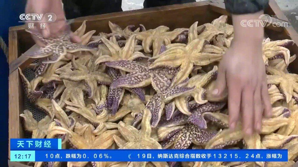 海星泛滥“成灾”？变了 涨到5.5元收购商在码头苦等