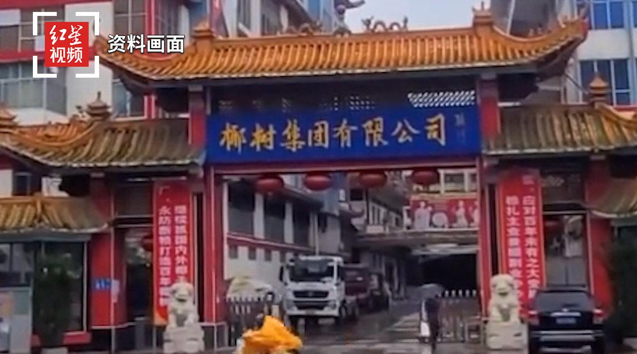 椰树集团回应招生广告引争议：不是为了炒作，这是企业宣传风格