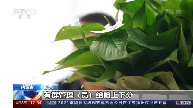 免费USDT/USDC游戏推荐/注册送币链游大全/边玩边赚新选择体育博彩史上最牛大神传奇 体彩投注膜拜的标杆