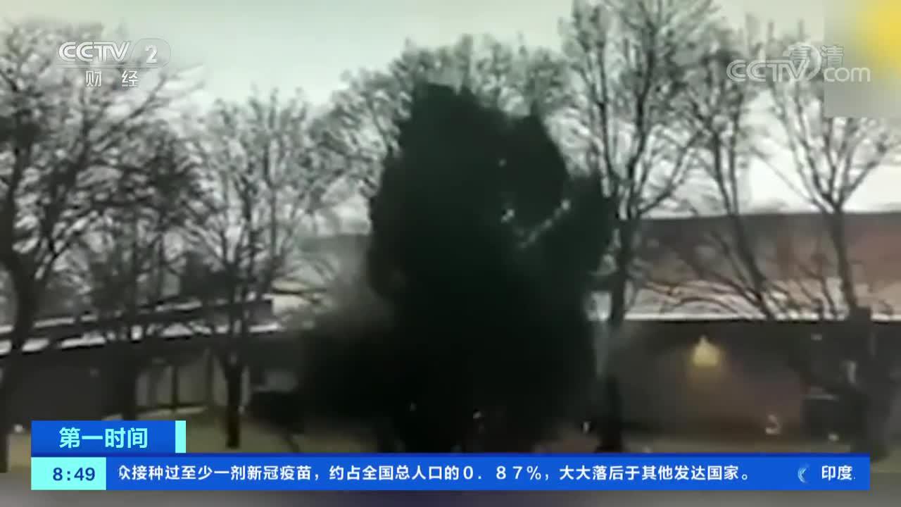 [第一时间]美国：闪电击中校园内大树 所幸无人受伤
