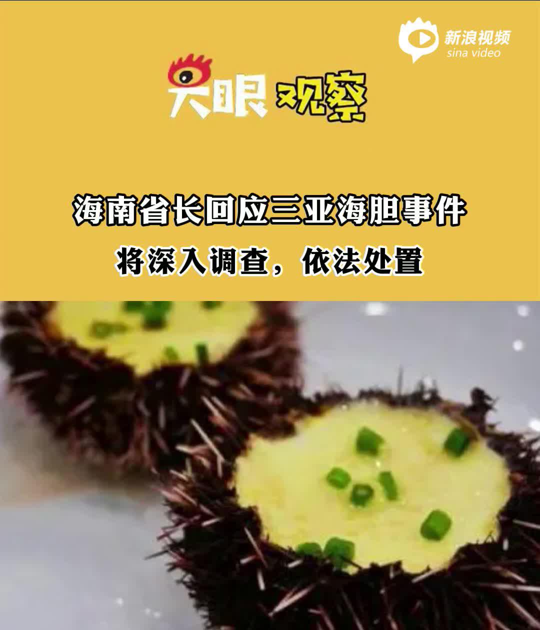 视频| 海南省长回应三亚海胆事件:将深入调查,依法处置