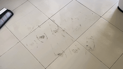 全屋清掃一次完成,一台吸拖洗一體的洗地機?_新浪眾測