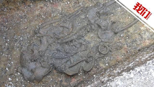 广州增城出土古人类遗骸30具：可见捆缚迹象