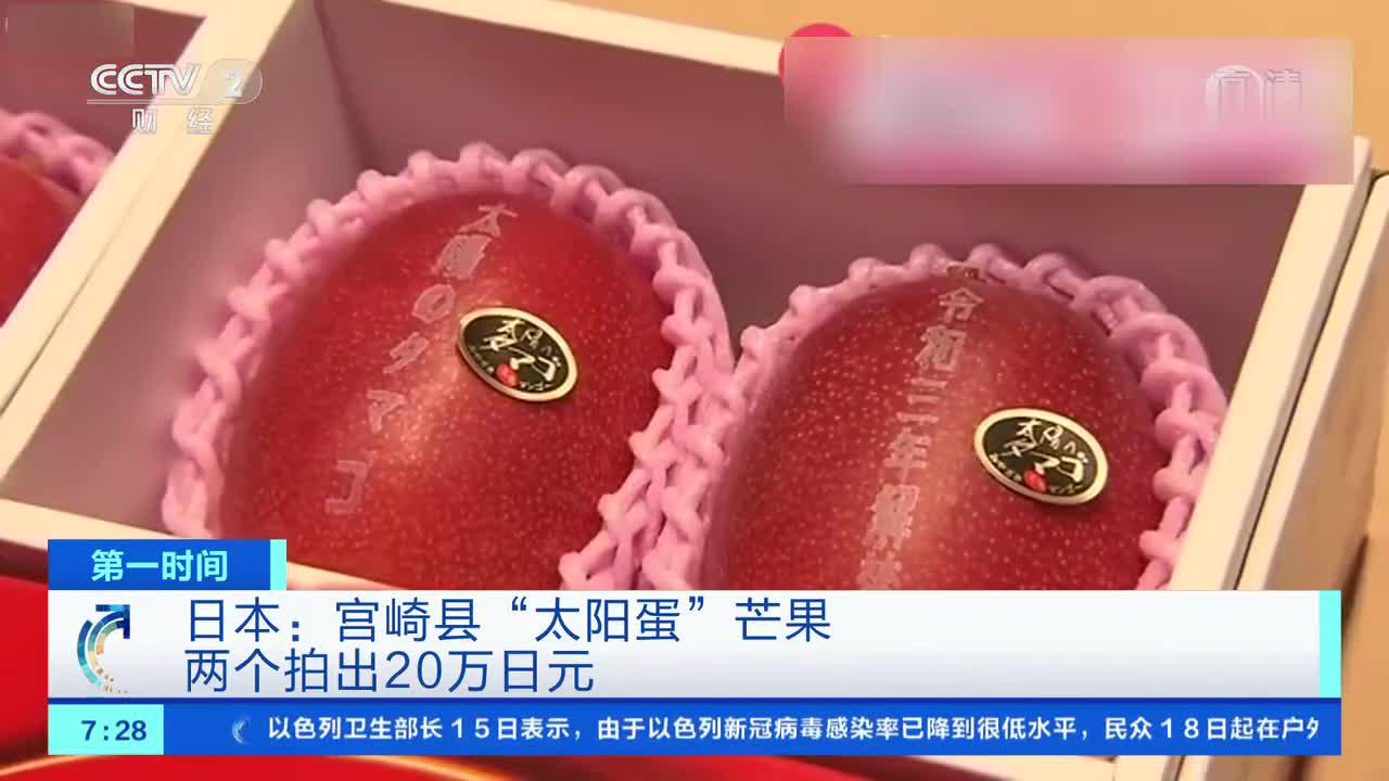 [第一时间]日本:宫崎县"太阳蛋"芒果 两个拍出20万日元