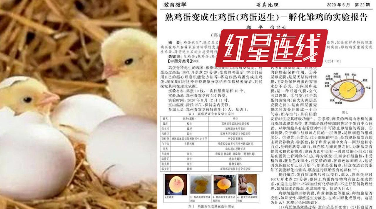 熟蛋返生孵鸡论文第二作者回应：只参与筛选鸡蛋和孵化 不敢保证返生真实性