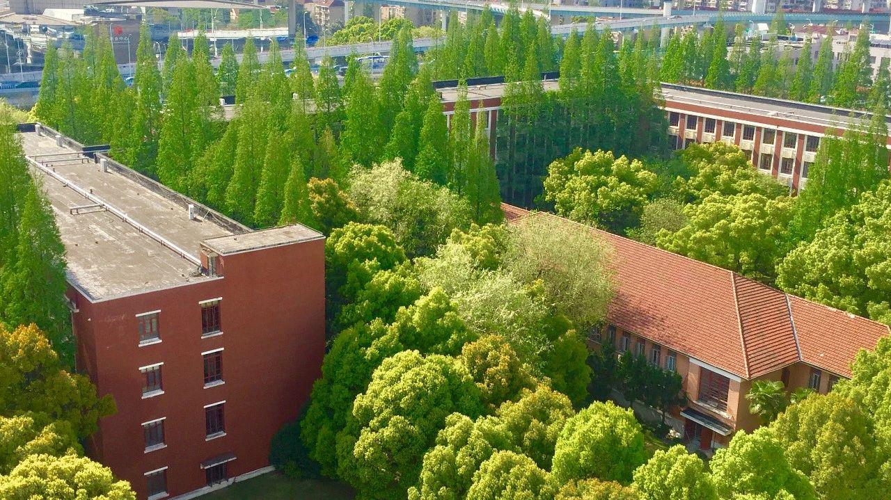 “50后”!东华这栋建筑很年长,你猜到了吗?|雕塑|东华大学_新浪新闻