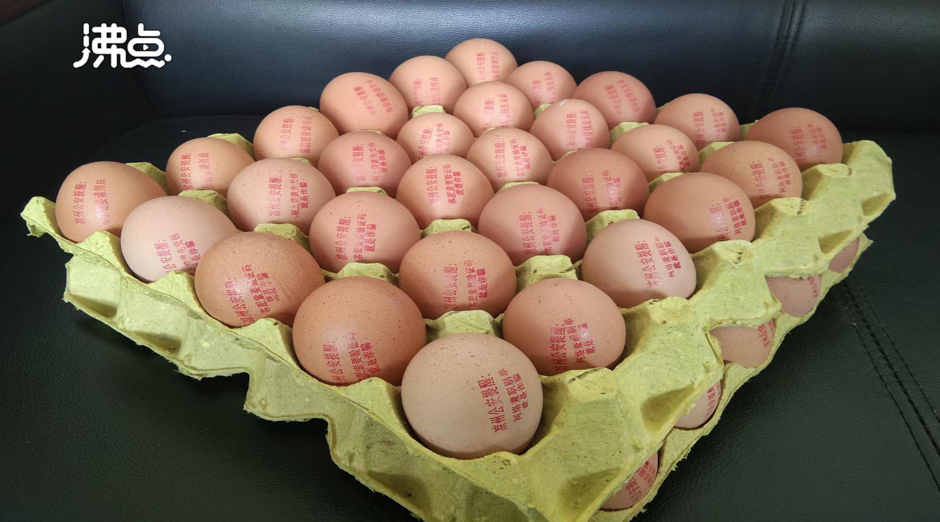 甘肃凉州公安在鸡蛋上印反诈语  网友：一颗为反诈操碎了心的蛋