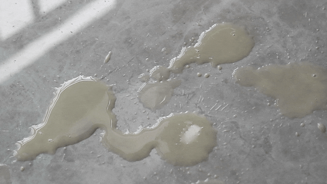 MOVA Rolla5洗地機,用一次就上癮_新浪眾測