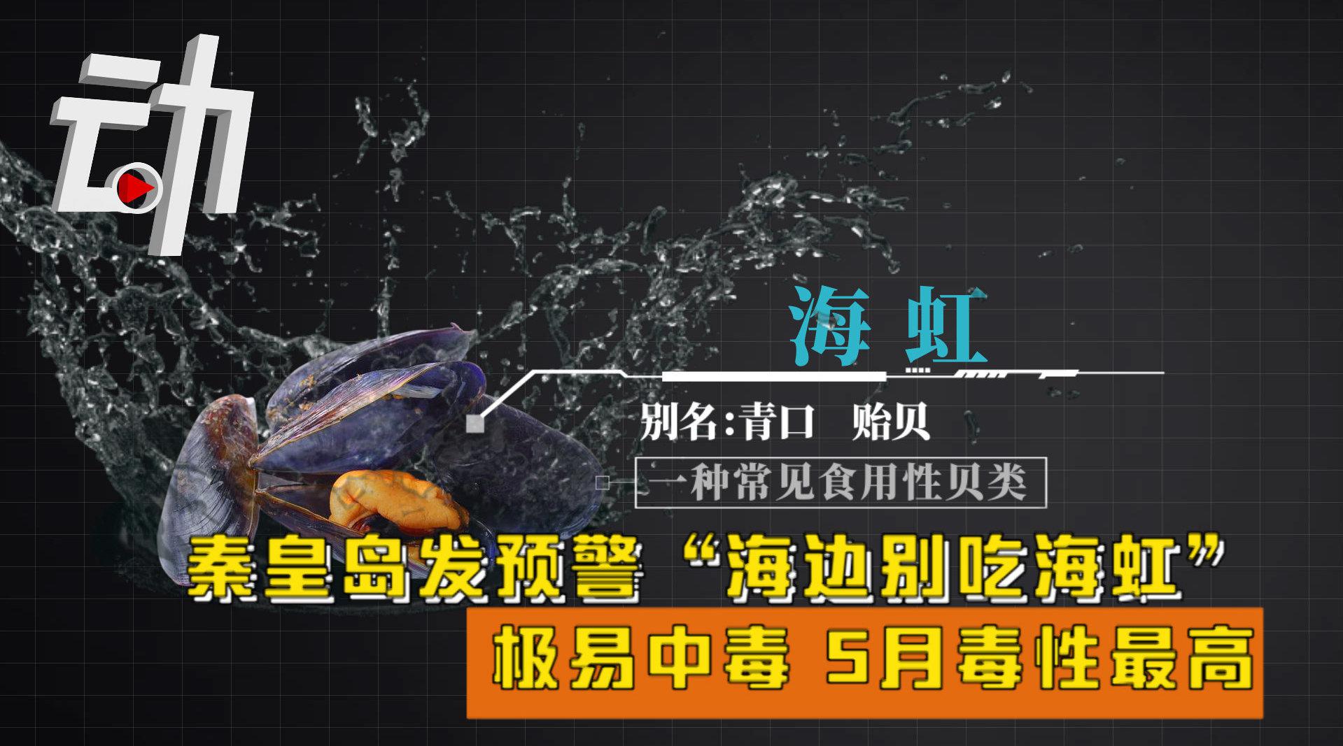 秦皇岛发预警"海边别吃海虹"! 极易中毒,5月毒性最高