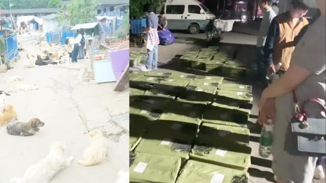 成都宠物盲盒猫狗已被妥善安置 救助中心：以后将发布领养信息回归家庭