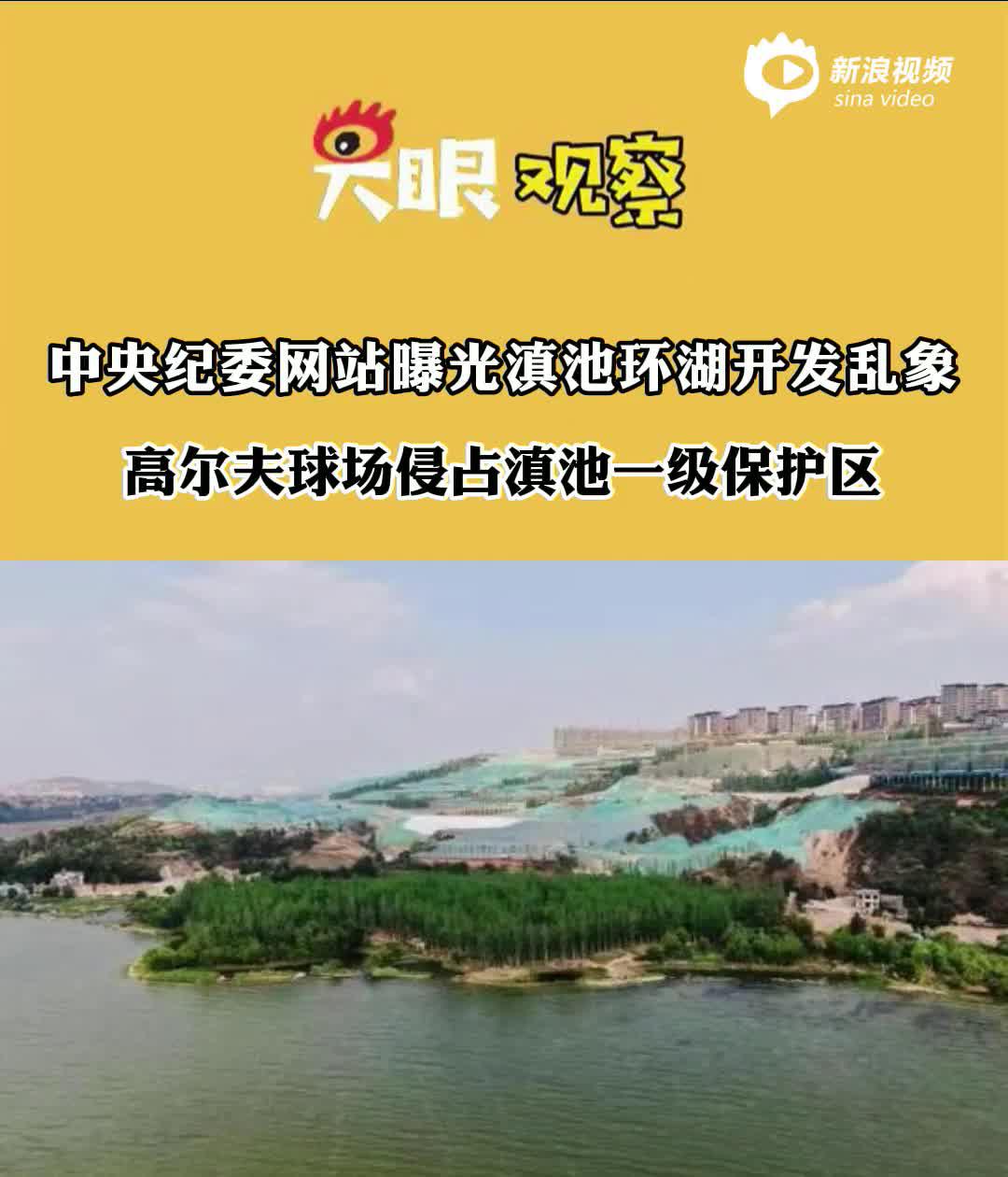 视频丨中央纪委网站曝光滇池环湖开发乱象 高尔夫球场侵占滇池一级保护区