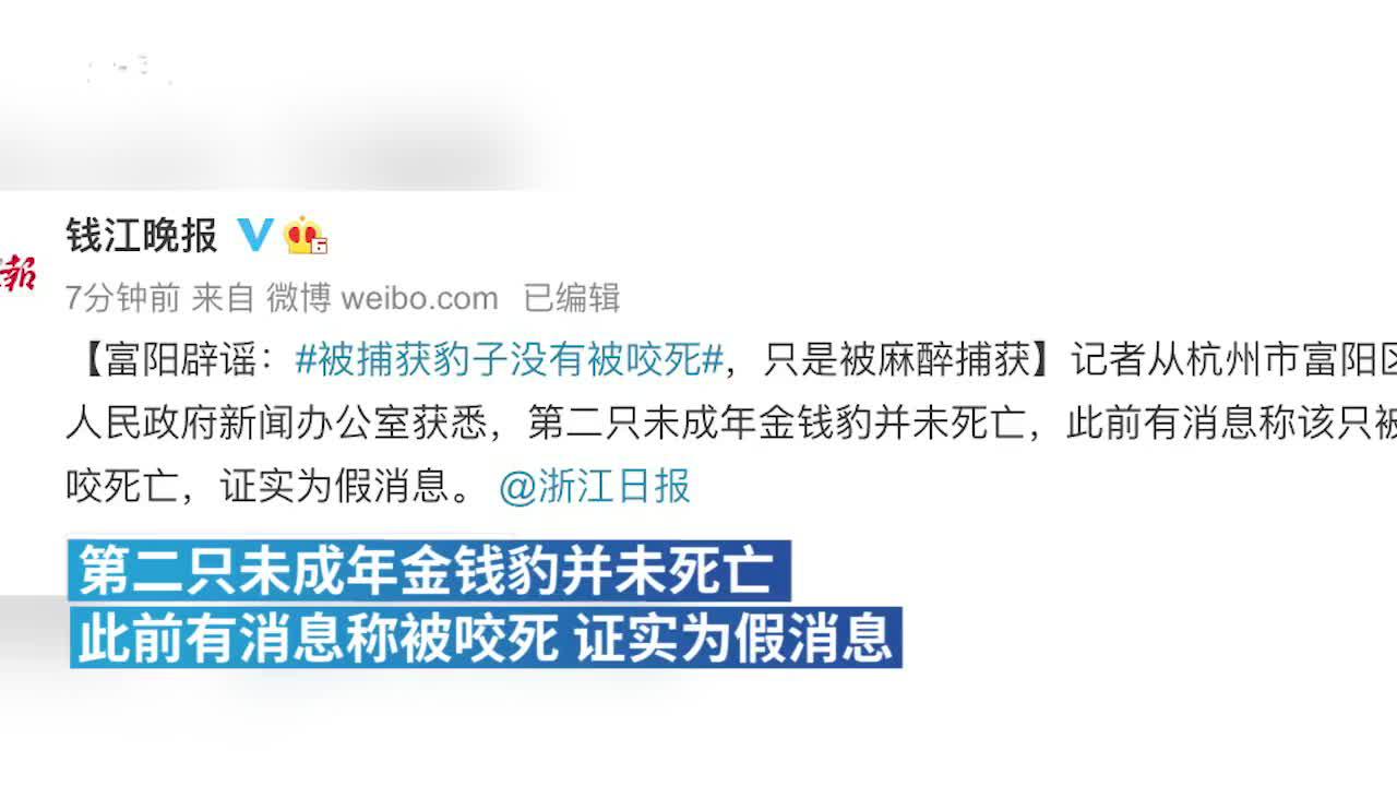 富阳辟谣“第二只出逃金钱豹被狗咬死”：麻醉被捕获