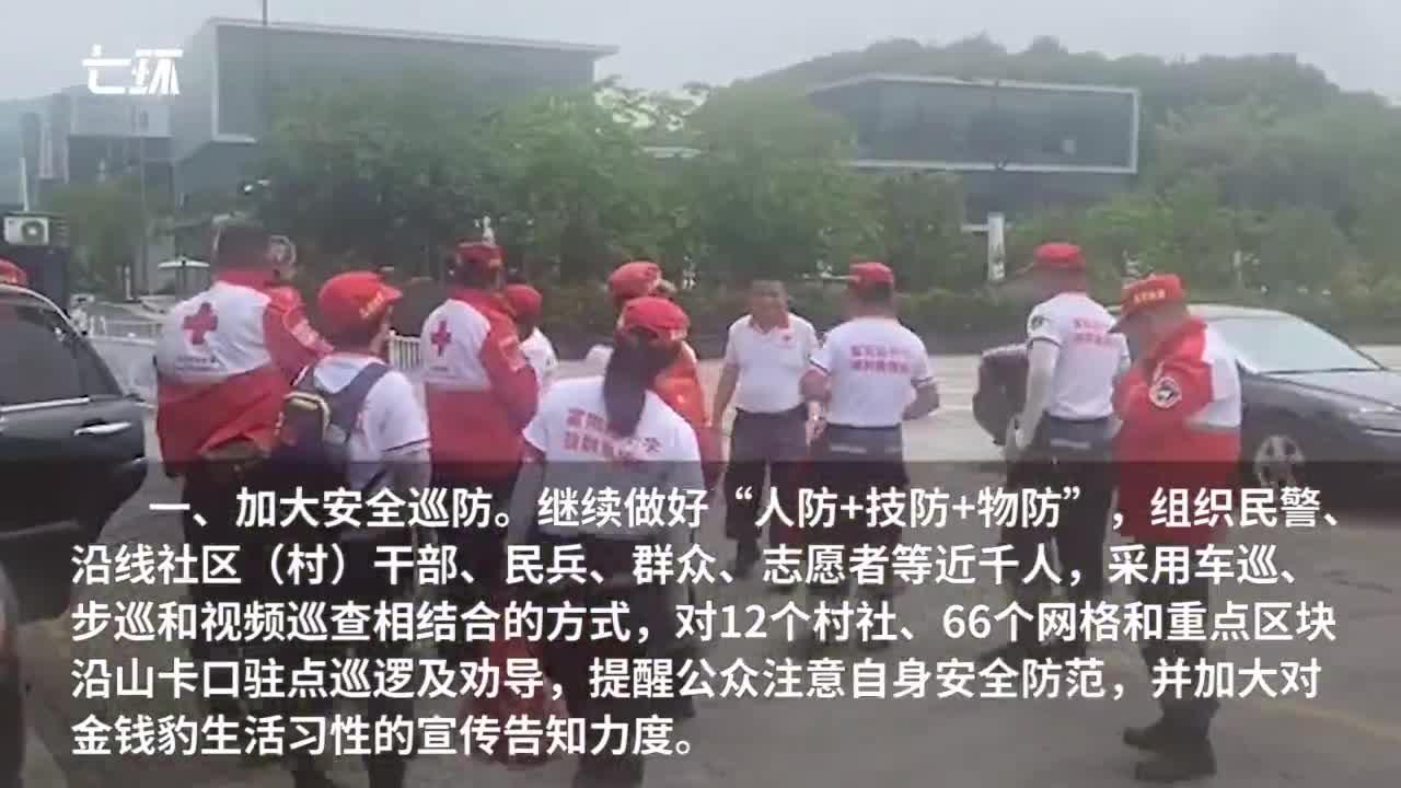 杭州“豹子外逃”续：野生动物世界整改不到位绝不开园