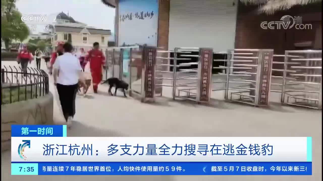 [第一时间]浙江杭州：多支力量全力搜寻在逃金钱豹