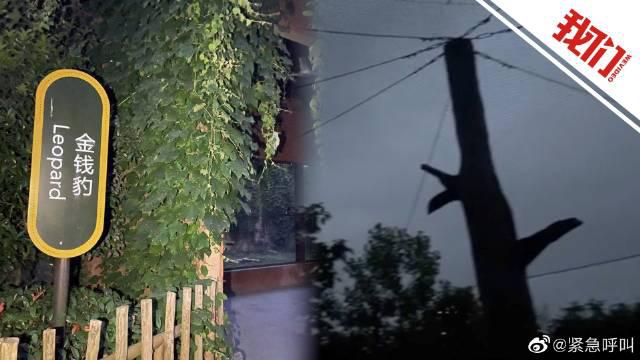 夜访杭州野生动物世界金钱豹馆：不见豹子踪影 四周有网未见明显破洞