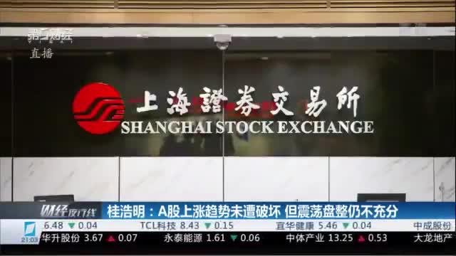 桂浩明：A股上涨趋势未遭破坏 但震荡盘整不充分