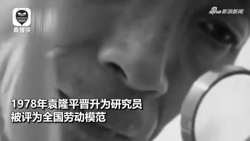 袁隆平院士在长沙病逝 享年91岁 百秒回顾“杂交水稻之父”生平