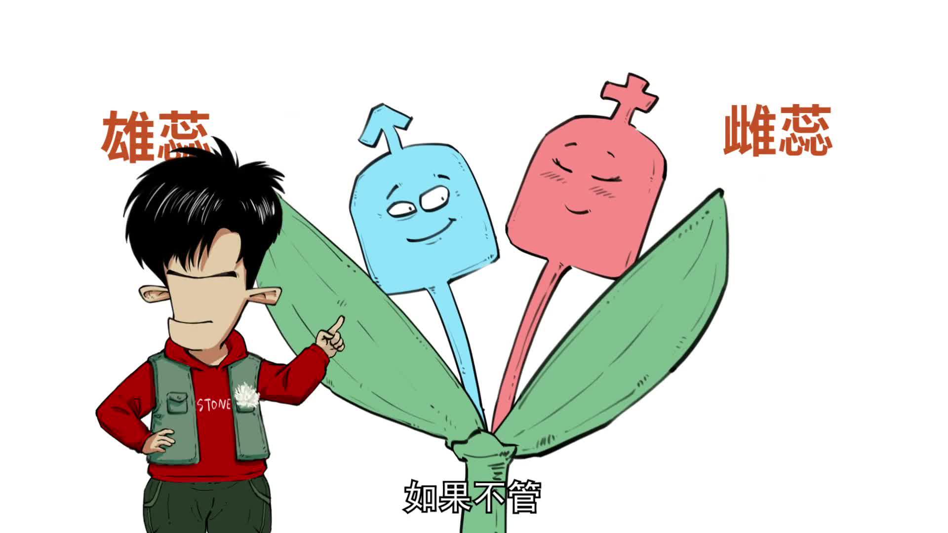 你需要知道袁隆平的杂交水稻有多厉害