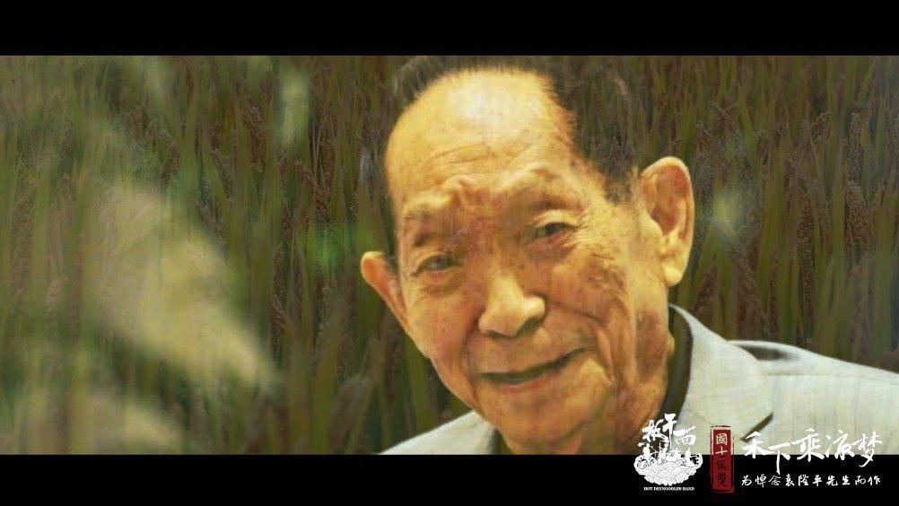 为悼念袁隆平，武汉一乐队把“梦”唱成了歌……