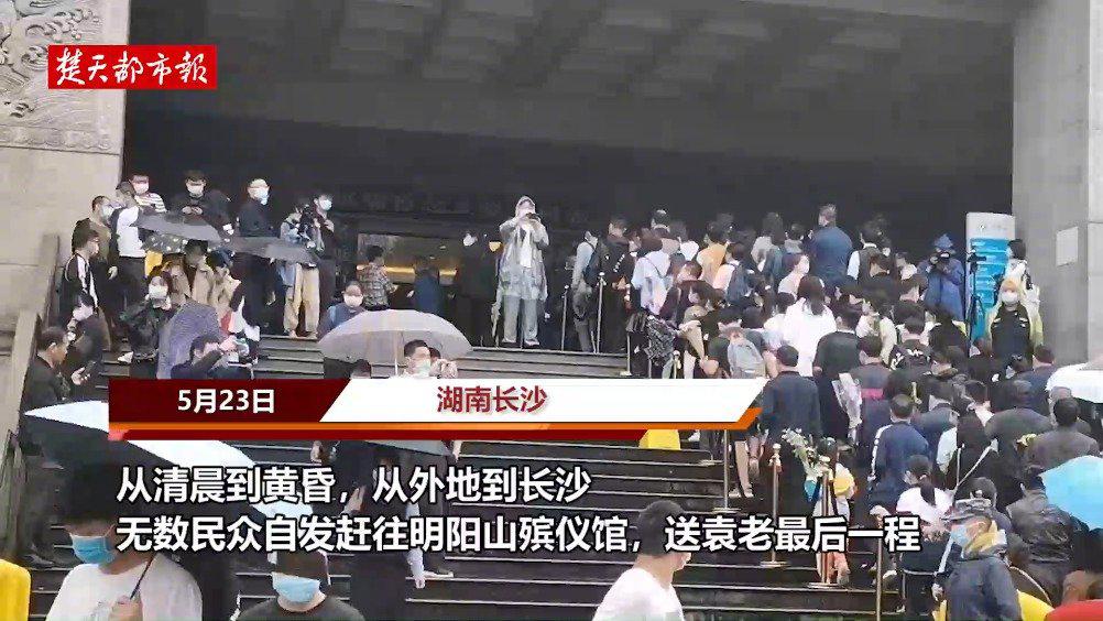 隆平高科董事长撰文缅怀袁隆平 为民族种业崛起接续奋斗 海南省 袁隆平 隆平高科 新浪科技 新浪网