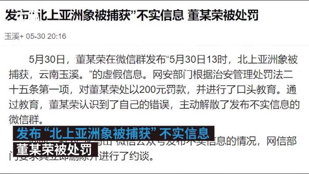 网友发布北上亚洲象被捕获虚假信息受处罚：被罚200元