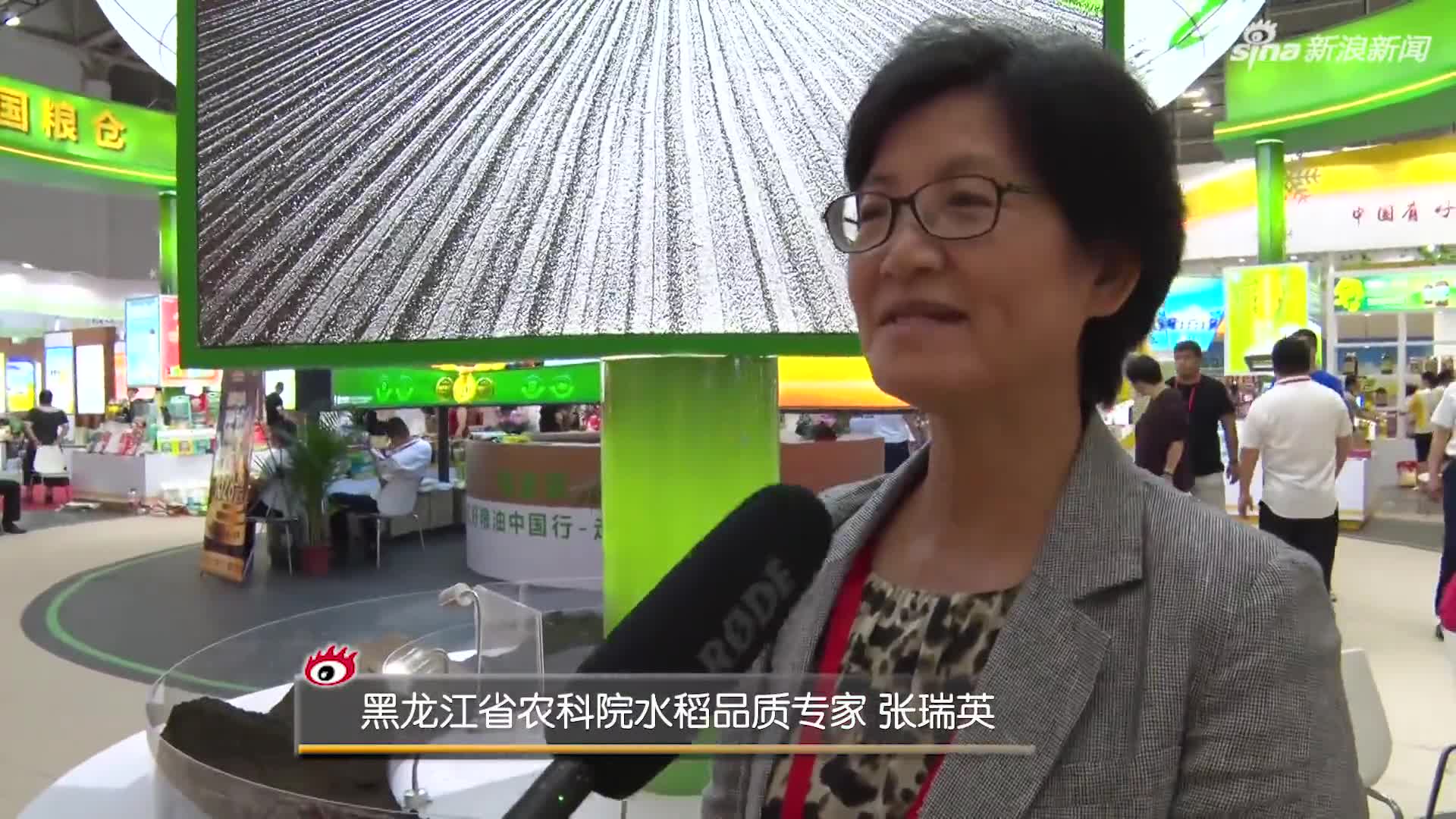 黑龙江省农科院水稻品质专家张瑞英:好米产自黑土地