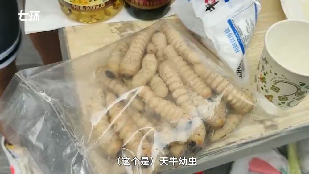 科学大家 崎岖的演化之路 昆虫都有哪些鲜为人知的秘密 生物 昆虫 甲虫 新浪科技 新浪网 科学大家 崎岖的演化之路 昆虫都有哪些鲜为人知的秘密 生物 昆虫 甲虫 新浪科技 新浪网