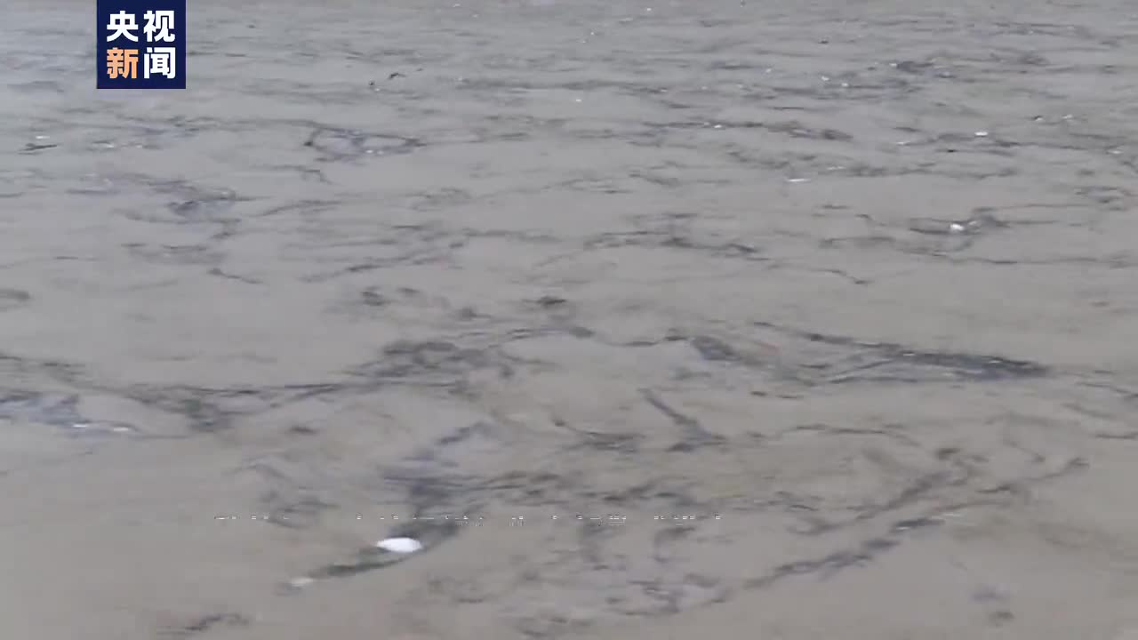 陕西汉中普降暴雨 汉江支流泾洋河发生超警戒洪水 紧急转移2万余人 - Vimarsana News