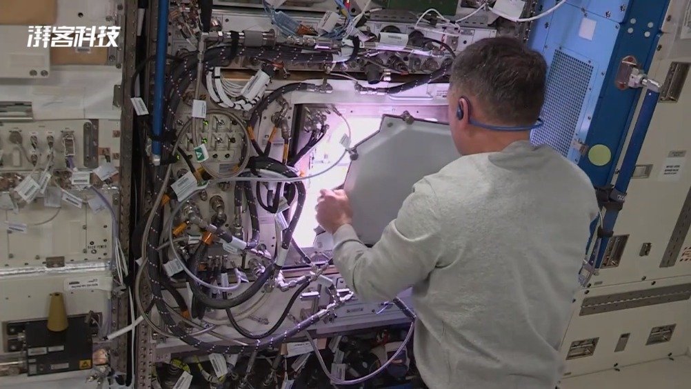NASA在空间站种辣椒：首次培育成熟作物