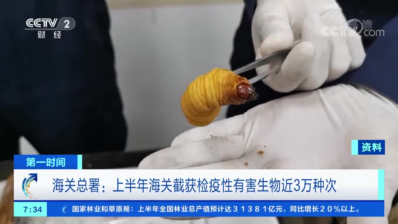 [第一时间]海关总署:上半年海关截获检疫性有害生物近3万种次