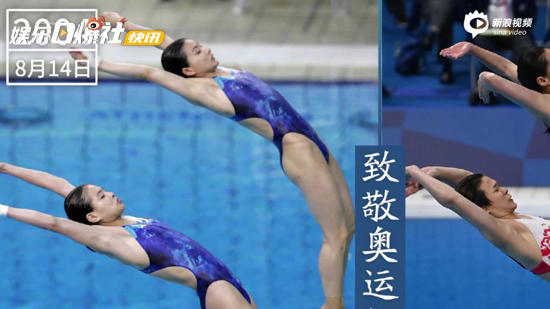 视频:中国跳水梦之队的传承 郭晶晶现场见证施廷懋王涵夺冠