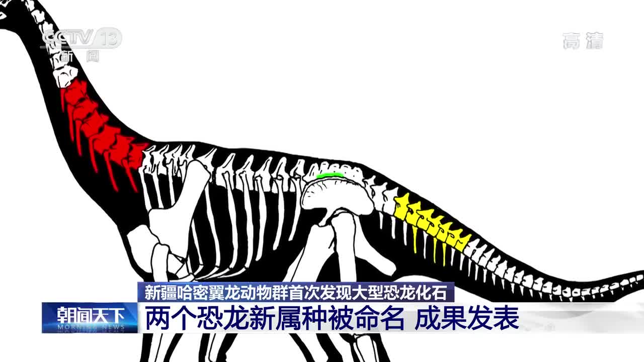 新疆哈密翼龙动物群首次发现大型恐龙化石