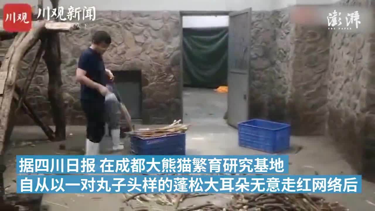 红金宝非吸案新通报：向4万余人非法集资达69