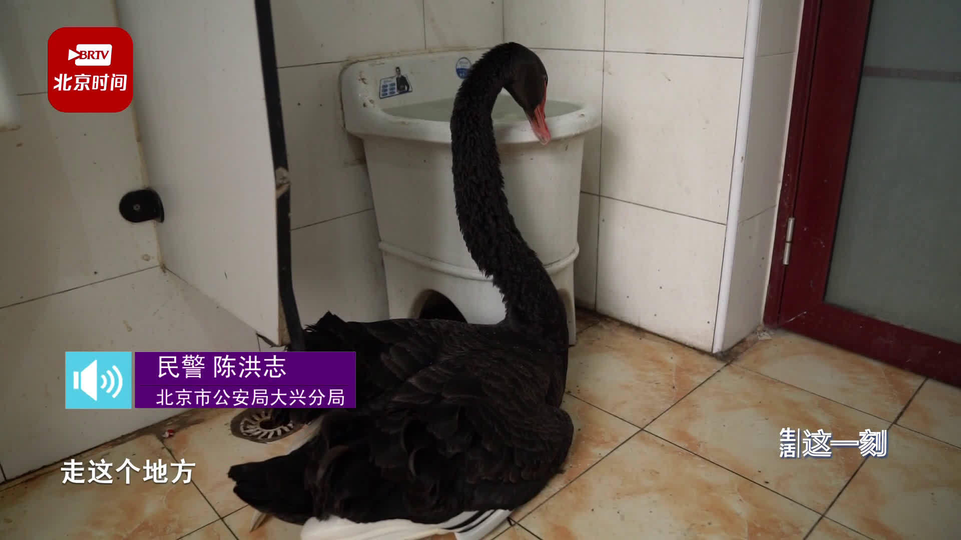 探索被遗忘的邪恶