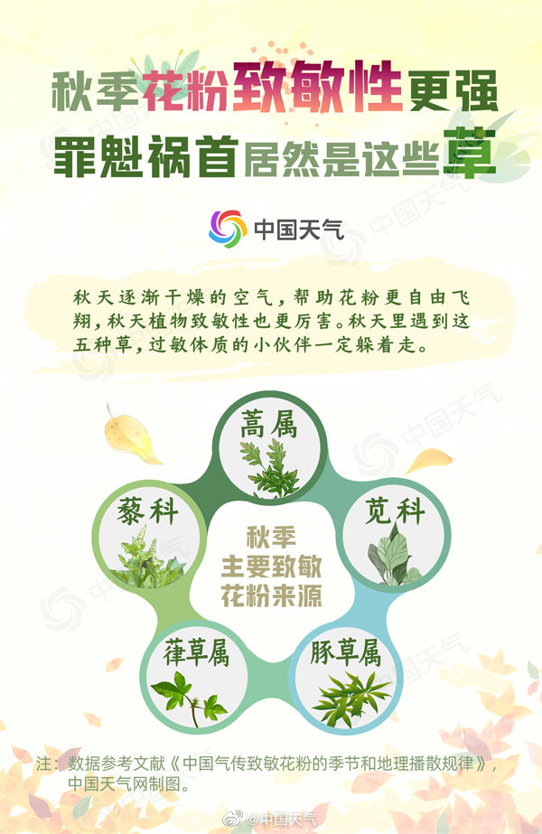你不知道的秋季过敏那些事 手机新浪网